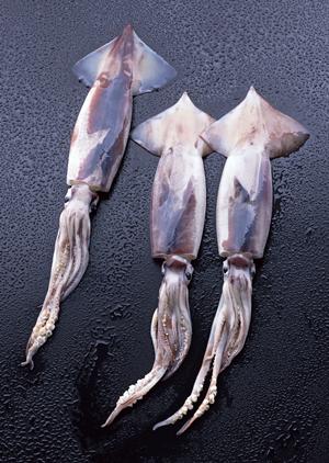 ホストクラブを仕事の原動力にする