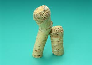 アイドルと会話した気になるホストクラブ